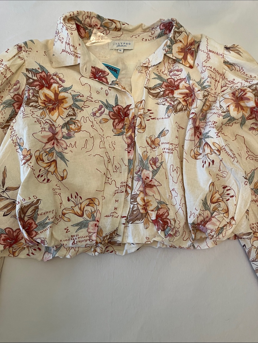 Calypso St. Barth Cream Floral Button-Down Shirt